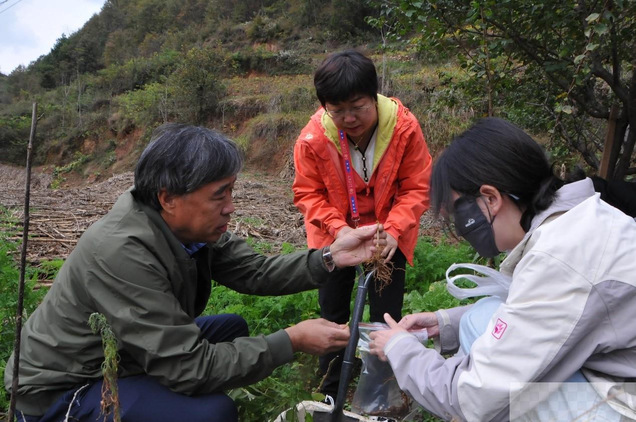 在地头建实验室，在秦岭里“养”线虫